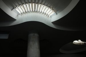 Photo ceiling lamp